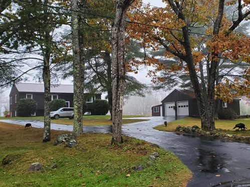 538 Bean Rd, Otisfield, ME 04270 exterior